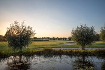 Golfbaan tijdens avondlicht