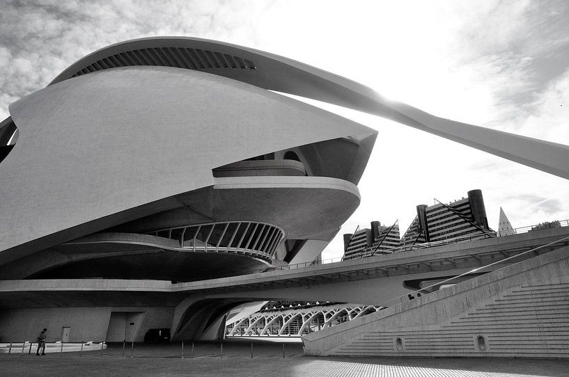 Cuidad de las artes y las ciencias van Fons Hayes