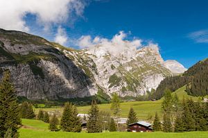 Switzerland mountains - 2 van Damien Franscoise
