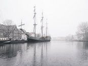 Haarlem: Tallship de Soeverijn bij mist. van OK thumbnail