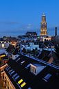 Stadtbild von Utrecht mit Domkirche und Domturm von Donker Utrecht Miniaturansicht