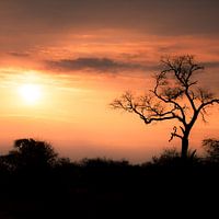 Afrikaanse zonsondergang