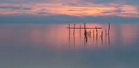 tranquility