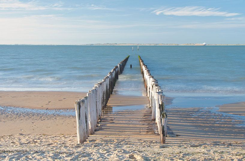 Into the sea by Miny'S