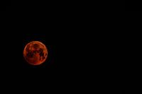 Bloedmaan