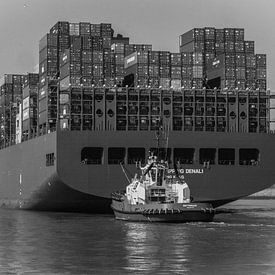 Containerschiff im Hafen von Rotterdam von Susan van der Riet