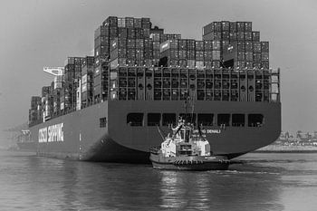 Containerschip in Rotterdamse haven