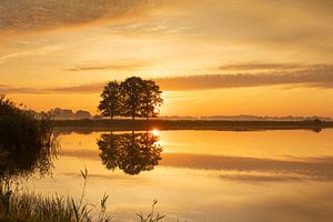 Bomen weerspiegeld in het water bij zonsopkomst van KB Design & Photography (Karen Brouwer)