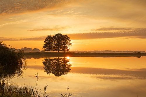 Bomen weerspiegeld in het water bij zonsopkomst