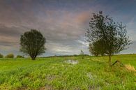 Paysage de polders par Jan Koppelaar Aperçu