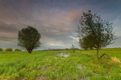 Polderlandschap