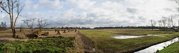 Panorama van grasland and  rietland bij Dwarsgracht Giethoorn Nederland van Leoniek van der Vliet