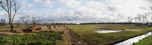 Panorama van grasland and  rietland bij Dwarsgracht Giethoorn Nederland