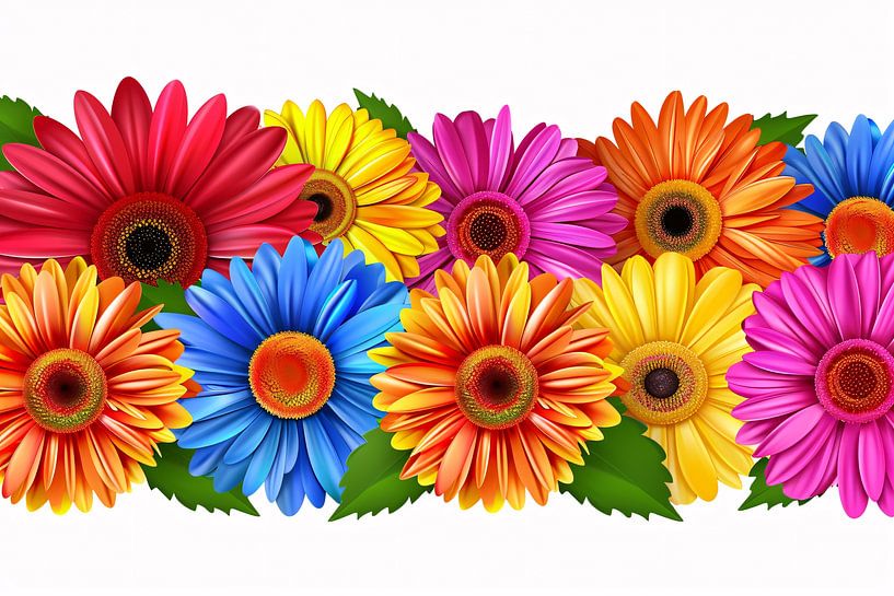Vibrant Flowers in Bright Colours on White by Imperial Art House