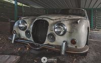 Jaguar Daimler 250