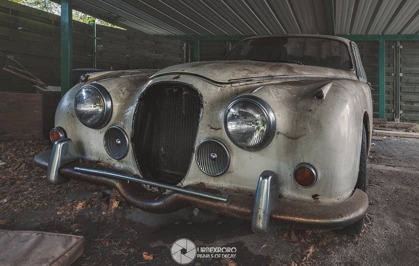 Jaguar Daimler 250 by romario rondelez