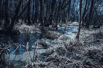 Un paysage de rêve I