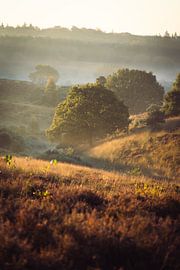 Morgennebel auf der Posbank von antoinetterosa