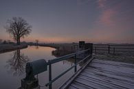 Tree at lock by Moetwil en van Dijk - Fotografie thumbnail