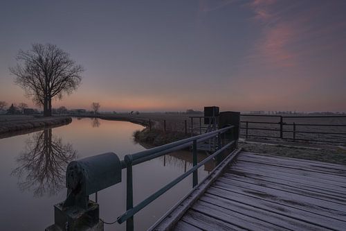 Boom bij sluis