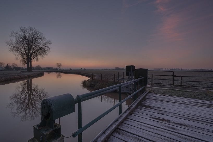 Tree at lock by Moetwil en van Dijk - Fotografie