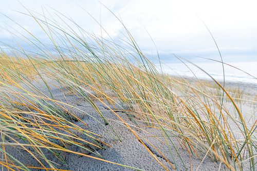 On the beach in Blavand, Denmark