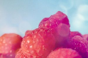 Framboises dans la lumière du matin - gros plan
