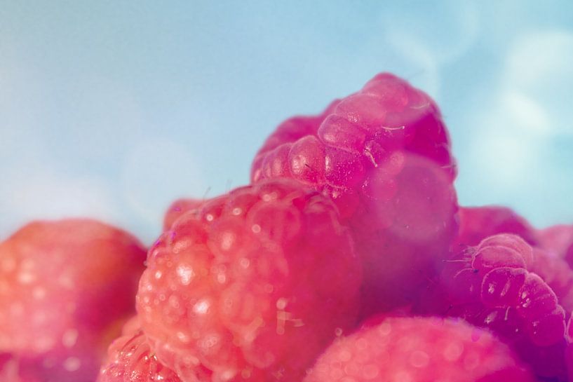 Himbeeren im Morgenlicht – Nahaufnahme von Mixed media vector arts