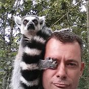 Ronald Pit Profile picture