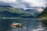 Ein Boot am Storfjord in Norwegen van Rico Ködder thumbnail