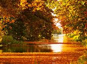 Apeldoorns kanaal in herfstkleuren van Jessica Berendsen thumbnail