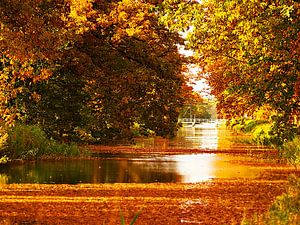 automne