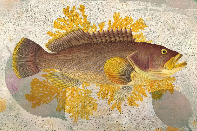 Dark Yellow Fish van Behindthegray