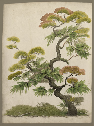 A Soothing Japanese Pine in a Minimalist Zen Style
