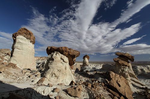 Hoodoo Forest (Rimrocks North) Grand Staircase-Escalante National Monument in zuidelijk Utah, Vereni