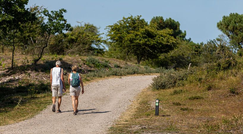 Walking people through a dune area by Percy's fotografie