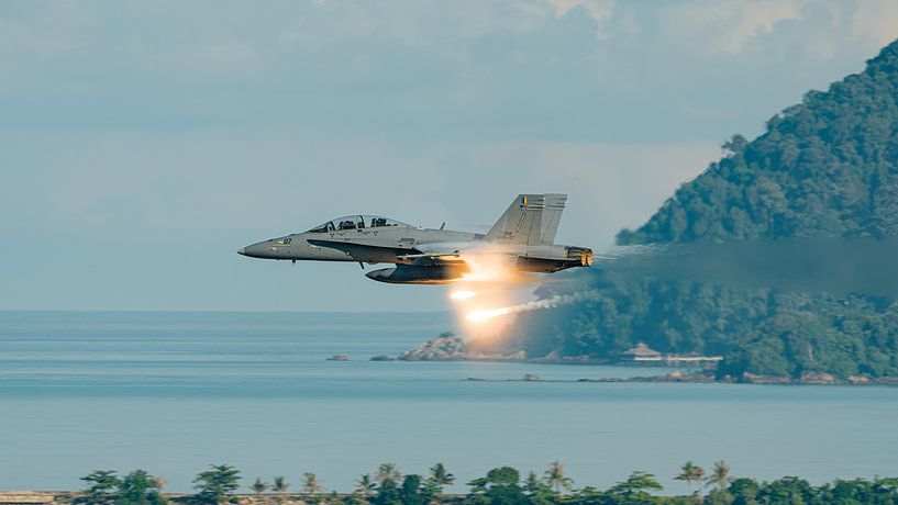 Hi-speed pass Malaysian F/A-18D Hornet. by Jaap van den Berg