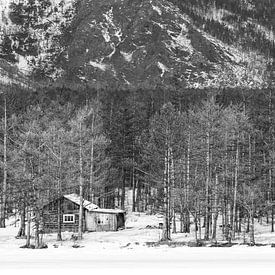 Huisje in het Siberische woud von Michèle Huge