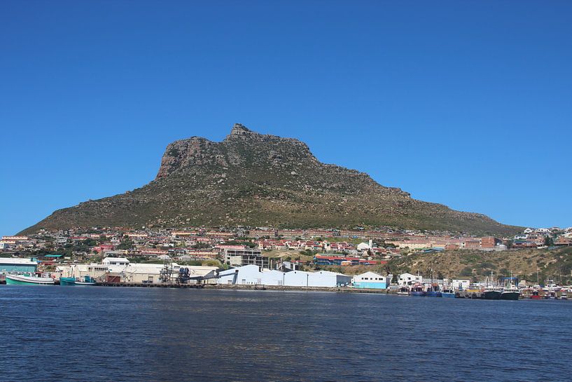 Haven in Zuid-Afrika van Quinta Dijk