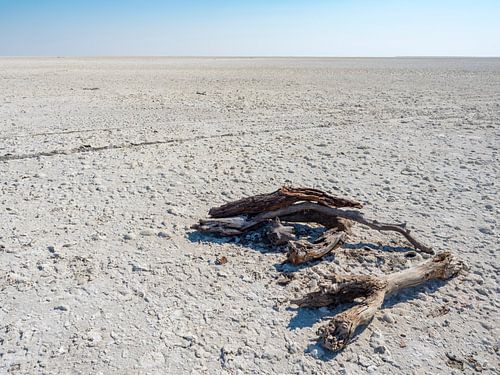 Makgadikgadi-Salzpfannen in Botswana von victor van bochove