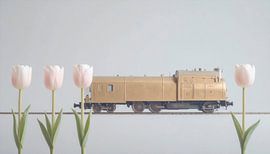Train and white tulips... by Ans Bastiaanssen