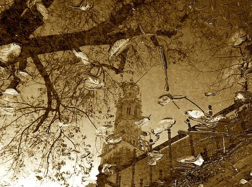 Bakenesser reflectie (2015)