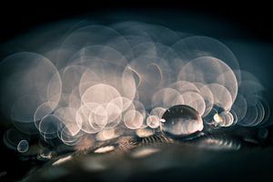 Wassertropfen auf einer Quelle mit Bokeh-Hintergrund