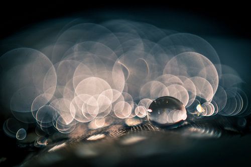 Goutte d'eau sur une source avec un fond de bokeh