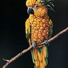 Ananas Papegaai 2 van Studio Ypie