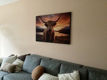 Customer photo: Scottish Highland cattle by Skyfall