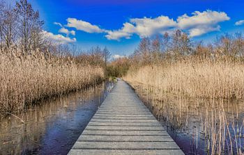 Apeldoorn / Klarenbeek et al.