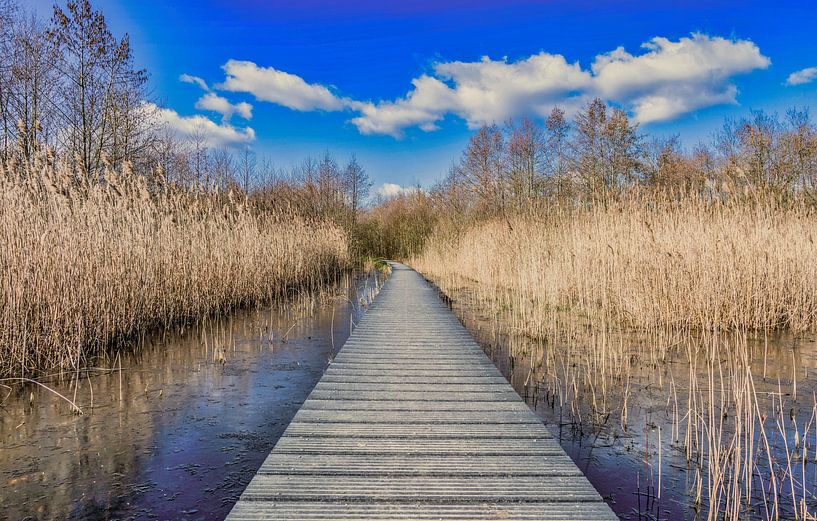 Apeldoorn / Klarenbeek et al. par Dirk Keijser