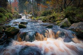 Bode in het Harz gebergte van Martin Wasilewski