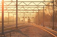 Sunny Rails